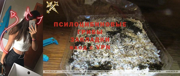 спиды Алексеевка